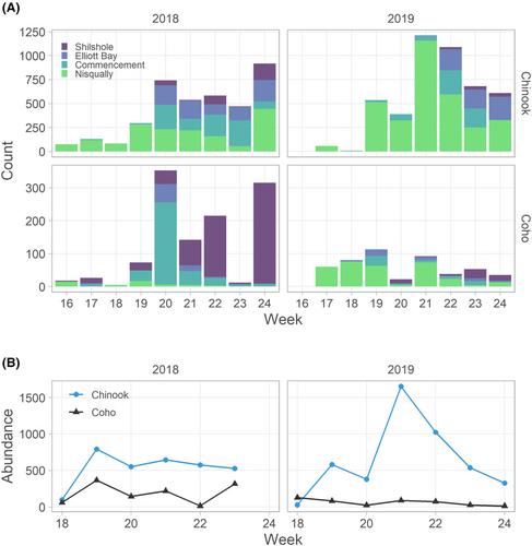 Higher Early Marine Mortality of Steelhead Associated with Releases of Hatchery Coho Salmon but Not Chinook Salmon