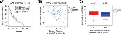 Metabolic inhibitor screening identifies dihydrofolate reductase as an inducer of the tumor immune escape mediator CD24