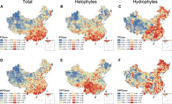 Geographic patterns and environmental correlates of taxonomic and phylogenetic diversity of aquatic plants in China