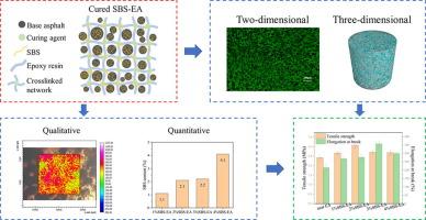 Phase structure characterization and compatibilization mechanism of epoxy asphalt modified by thermoplastic elastomer (SBS)