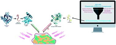 Identification of novel candidates for inhibition of LasR, a quorum-sensing receptor of multidrug resistant Pseudomonas aeruginosa, through a specialized multi-level in silico approach†