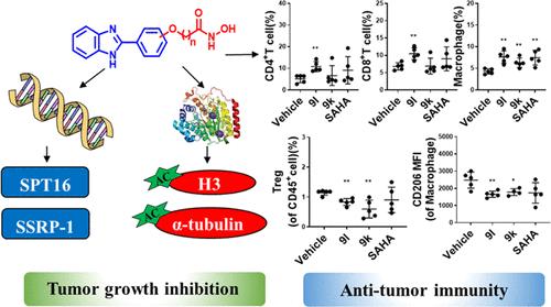 Discovery of DNA-Targeting HDAC Inhibitors with Potent Antitumor Efficacy In Vivo That Trigger Antitumor Immunity