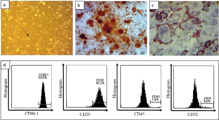 Umbilical Cord-Derived Mesenchymal Stem Cells Improve TGF-β, α-SMA and Collagen on Erectile Dysfunction in Streptozotocin-Induced Diabetic Rats.