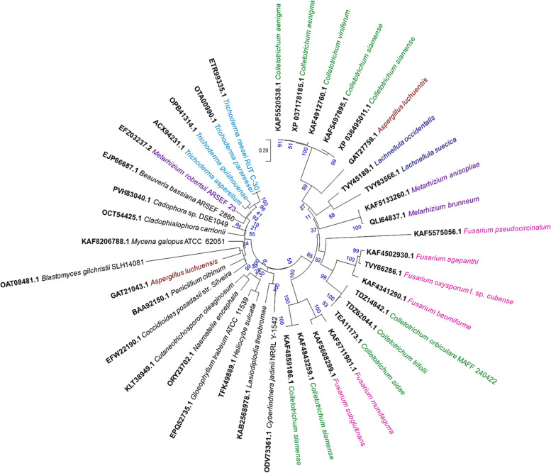 Structural heterogeneity assessment among the isoforms of fungal 1-aminocyclopropane-1-carboxylic acid (ACC) deaminase: a comparative in silico perspective.
