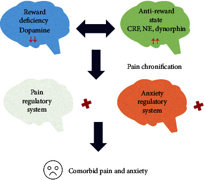 Current Understanding of the Neural Circuitry in the Comorbidity of Chronic Pain and Anxiety.