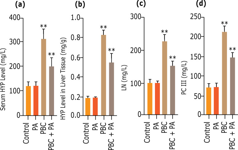 Paeoniflorin mitigates PBC-induced liver fibrosis by repressing NLRP3 formation.