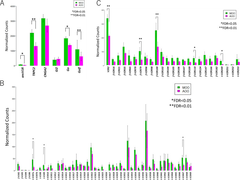 A transcriptomic reevaluation of the accessory olfactory organ in Bichir (Polypterus senegalus).