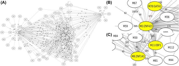 A systematic study of motif pairs that may facilitate enhancer-promoter interactions.