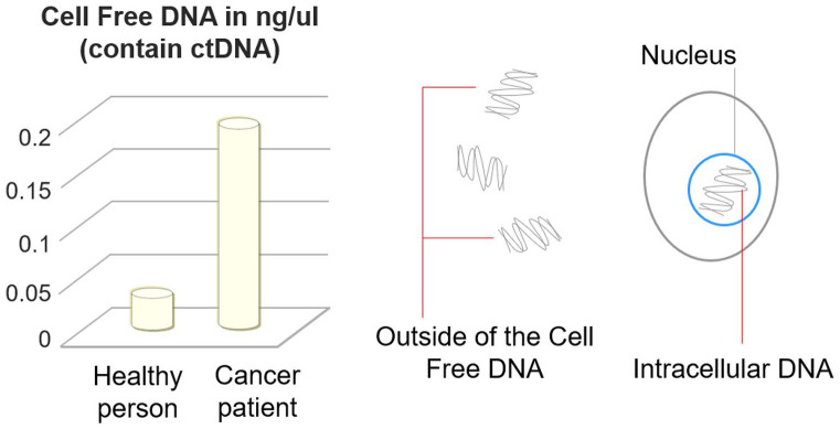 Liquid Biopsy: A Distinctive Approach to the Diagnosis and Prognosis of Cancer.