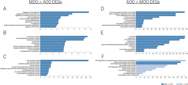 A transcriptomic reevaluation of the accessory olfactory organ in Bichir (Polypterus senegalus).