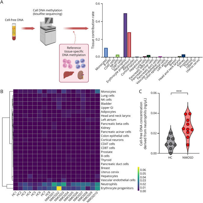 Cell-Free DNA Derived From Neutrophils Triggers Type 1 Interferon Signature in Neuromyelitis Optica Spectrum Disorder.
