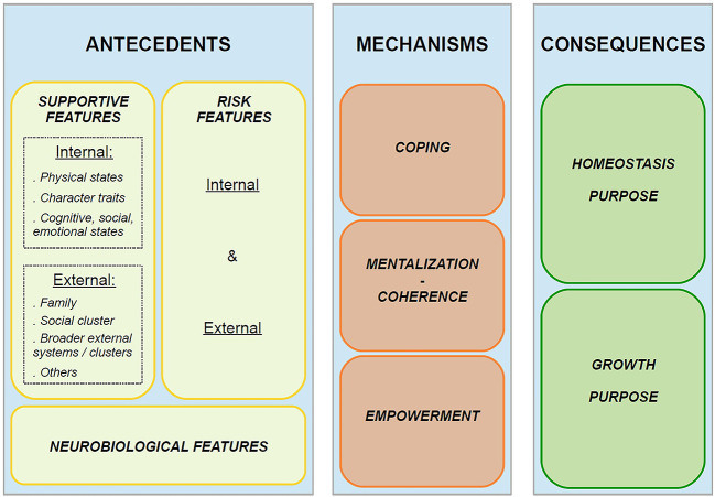 Integrative Review of the Recent Literature on Human Resilience: From Concepts, Theories, and Discussions Towards a Complex Understanding.