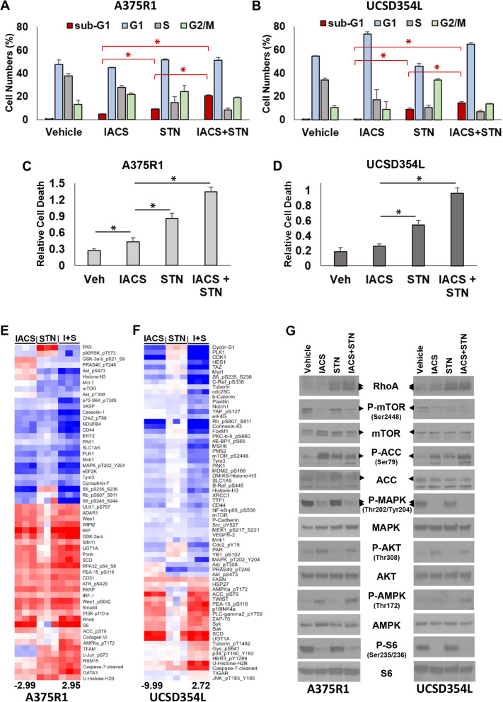 Combined inhibition of HMGCoA reductase and mitochondrial complex I induces tumor regression of BRAF inhibitor-resistant melanomas.