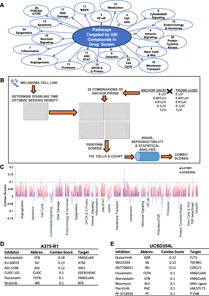 Combined inhibition of HMGCoA reductase and mitochondrial complex I induces tumor regression of BRAF inhibitor-resistant melanomas.