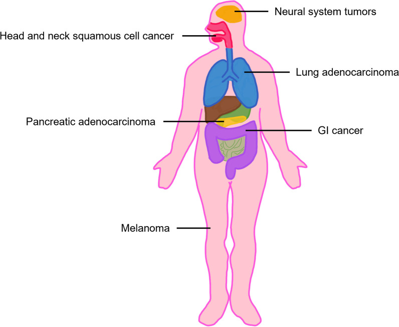 Hereditary oral squamous cell carcinoma associated with CDKN2A germline mutation: a case report.