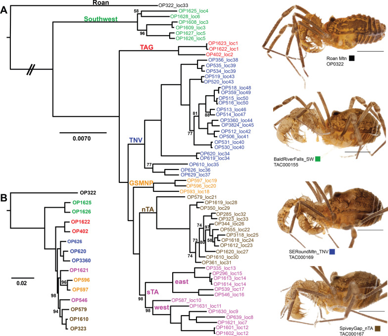 Using natural history to guide supervised machine learning for cryptic species delimitation with genetic data.