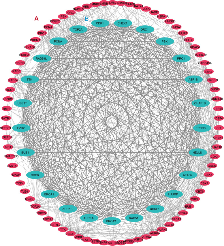 Identification of a chromatin regulator signature and potential candidate drugs for bladder cancer.