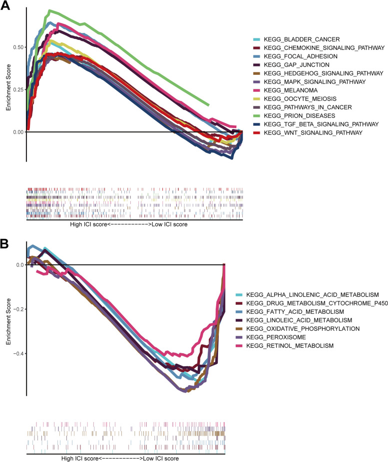 Identification of a chromatin regulator signature and potential candidate drugs for bladder cancer.