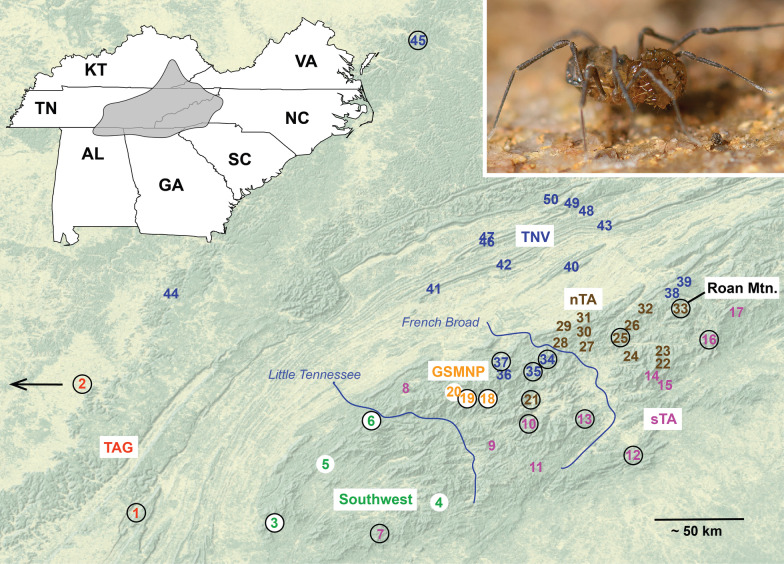 Using natural history to guide supervised machine learning for cryptic species delimitation with genetic data.