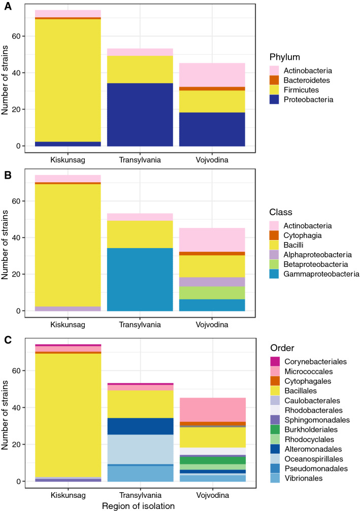 Anion-type modulates the effect of salt stress on saline lake bacteria.