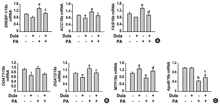 Dulaglutide Ameliorates Palmitic Acid-Induced Hepatic Steatosis by Activating FAM3A Signaling Pathway.