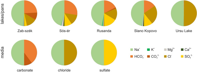 Anion-type modulates the effect of salt stress on saline lake bacteria.