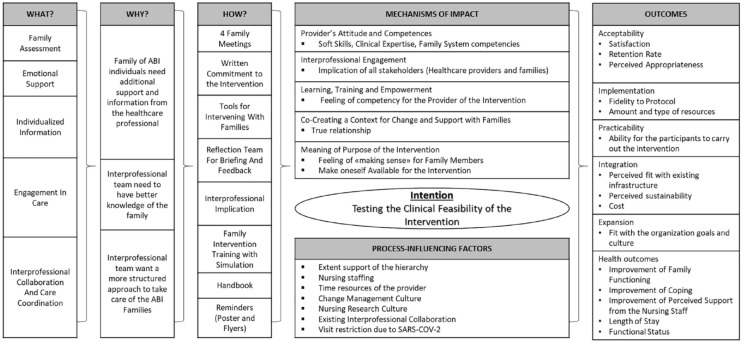 The Development of an Early Intervention for Supporting Families of Persons With Acquired Brain Injuries: The SAFIR<sup>©</sup> Intervention.