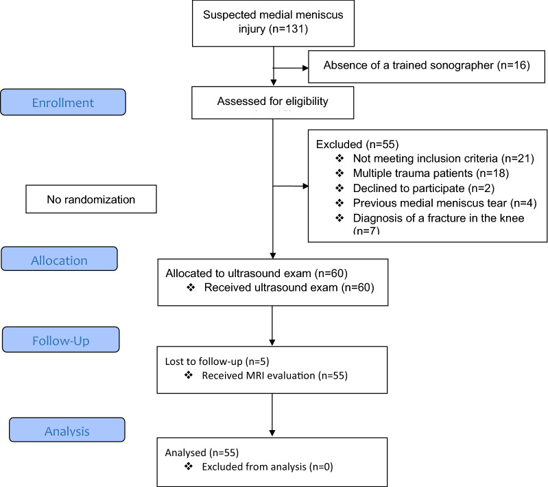 Role of point-of-care ultrasonography (POCUS) in the diagnosing of acute medial meniscus injury of knee joint.