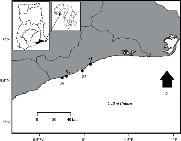 Preliminary Assessment of Trace Metal Pollution and Their Bioaccumulation in Mollusks Inhabiting the Intertidal Sediments of the Atlantic Coast of Accra, Ghana.