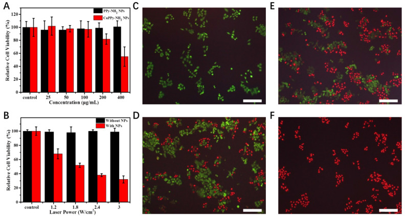 Erratum: Tumor Theranostics of Transition Metal Ions Loaded Polyaminopyrrole Nanoparticles: Erratum.