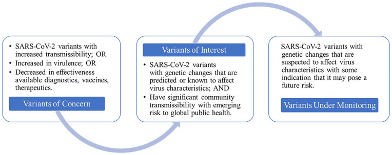 New Coronavirus Variants are Creating More Challenges to Global Healthcare System: A Brief Report on the Current Knowledge.