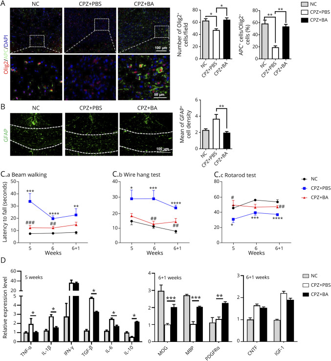 Baicalin Promotes CNS Remyelination via PPARγ Signal Pathway.