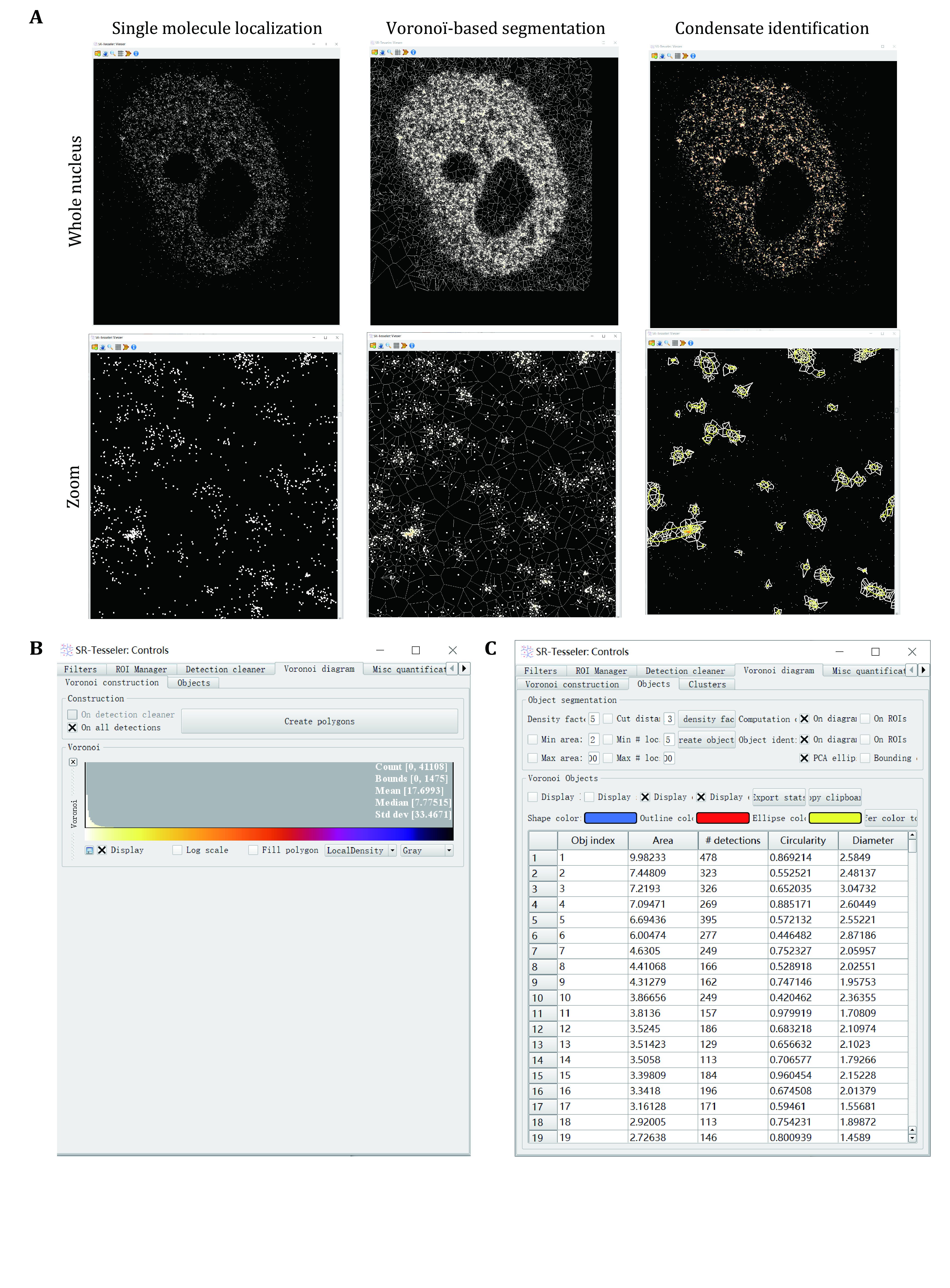 Characterization of liquid-liquid phase separation using super-resolution and single-molecule imaging.