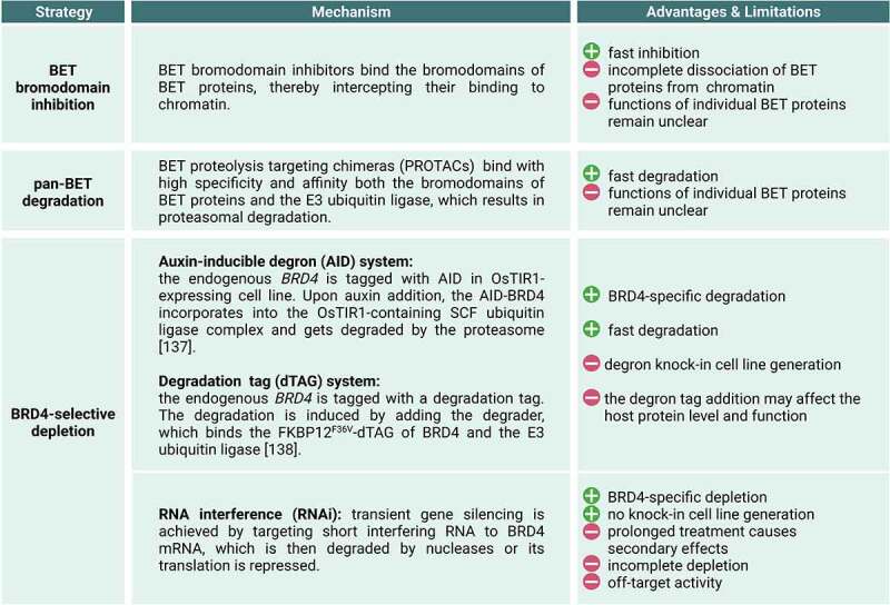 BRD4: a general regulator of transcription elongation.