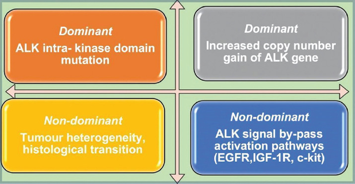 An insight into lung cancer: a comprehensive review exploring ALK TKI and mechanisms of resistance.