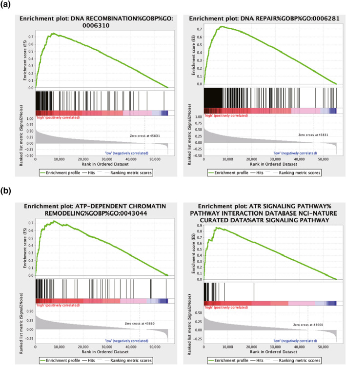 A novel m6A-related prognostic signature for predicting the overall survival of hepatocellular carcinoma patients.