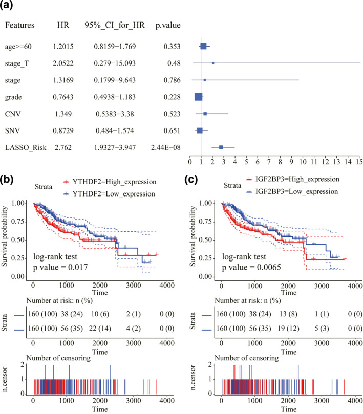 A novel m6A-related prognostic signature for predicting the overall survival of hepatocellular carcinoma patients.