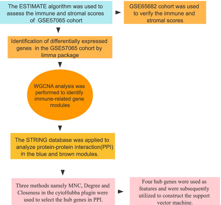 Identification of a novel four-gene diagnostic signature for patients with sepsis by integrating weighted gene co-expression network analysis and support vector machine algorithm.