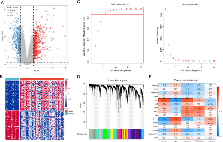 Identification of a novel four-gene diagnostic signature for patients with sepsis by integrating weighted gene co-expression network analysis and support vector machine algorithm.