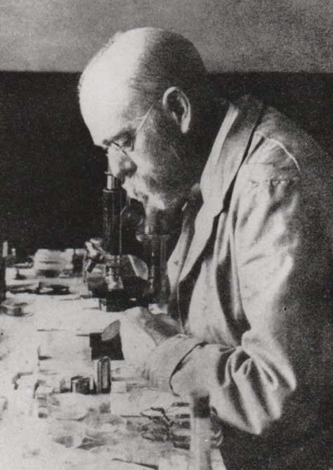 Robert Koch, malaria pioneer.