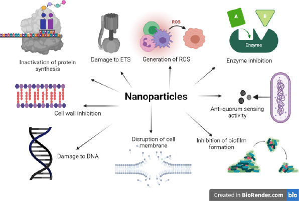 Recent advances in nanoparticles as antibacterial agent.