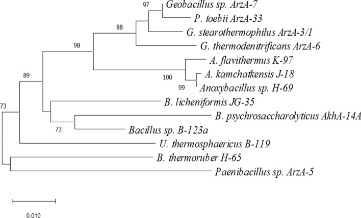 tRNA modification profiles in obligate and moderate thermophilic bacilli.