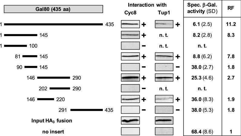 Transcriptional repressor Gal80 recruits corepressor complex Cyc8-Tup1 to structural genes of the Saccharomyces cerevisiae GAL regulon.