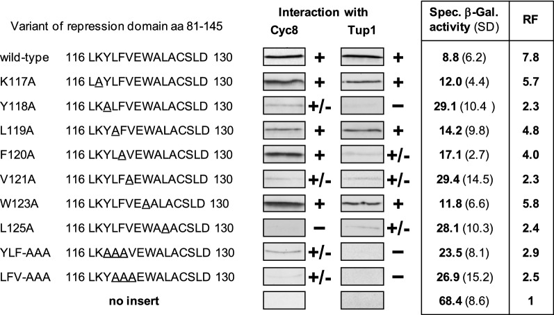 Transcriptional repressor Gal80 recruits corepressor complex Cyc8-Tup1 to structural genes of the Saccharomyces cerevisiae GAL regulon.