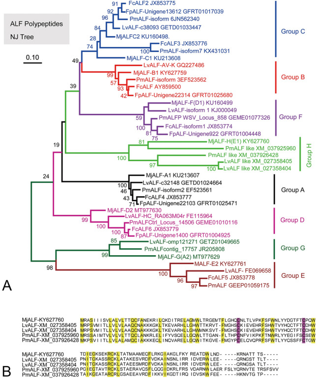 Anti-lipopolysaccharide factor D from kuruma shrimp exhibits antiviral activity.