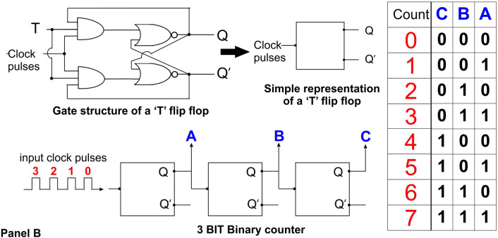 Is DNA repair controlled by a biological logic circuit?