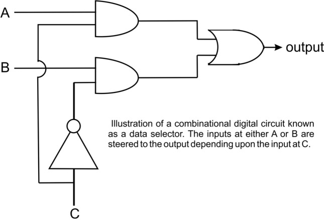 Is DNA repair controlled by a biological logic circuit?