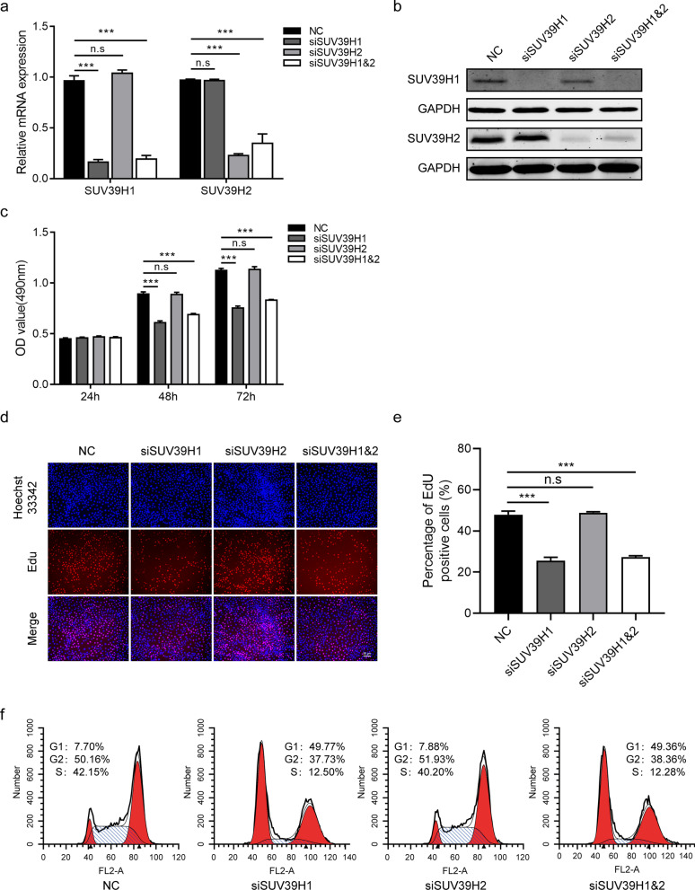 SUV39H1 regulates corneal epithelial wound healing via H3K9me3-mediated repression of p27.