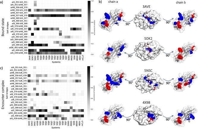 Bispecific antibodies-effects of point mutations on CH3-CH3 interface stability.