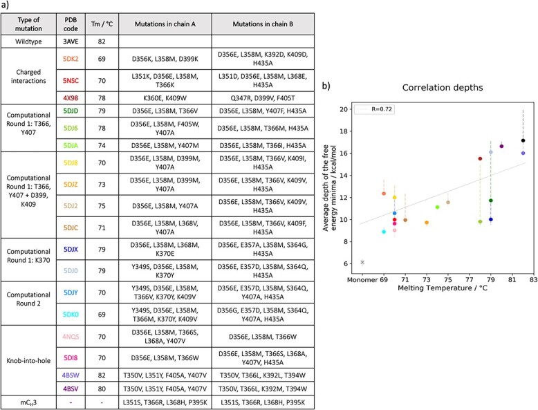 Bispecific antibodies-effects of point mutations on CH3-CH3 interface stability.